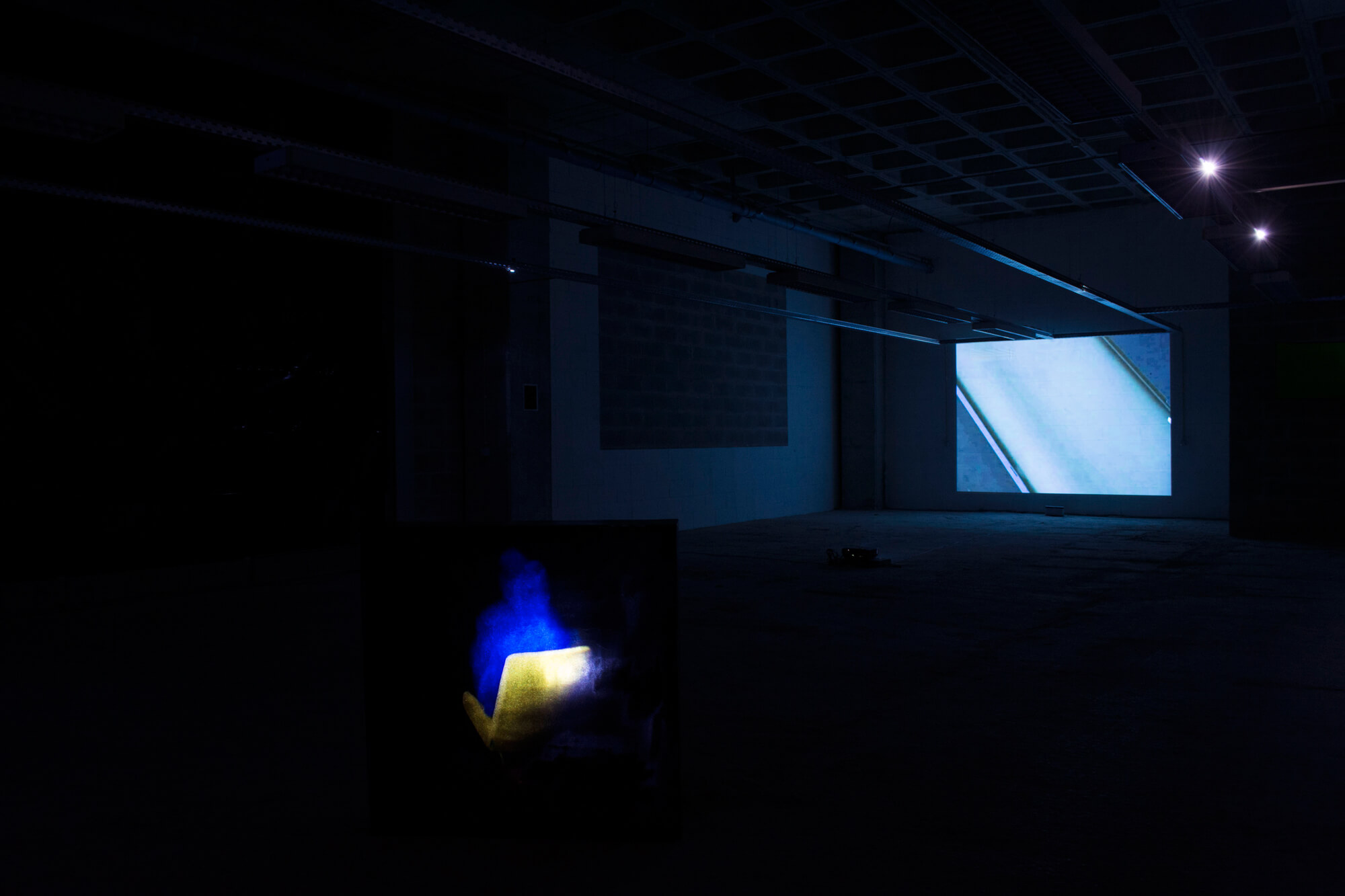 Infinite Distortion Exibhition View