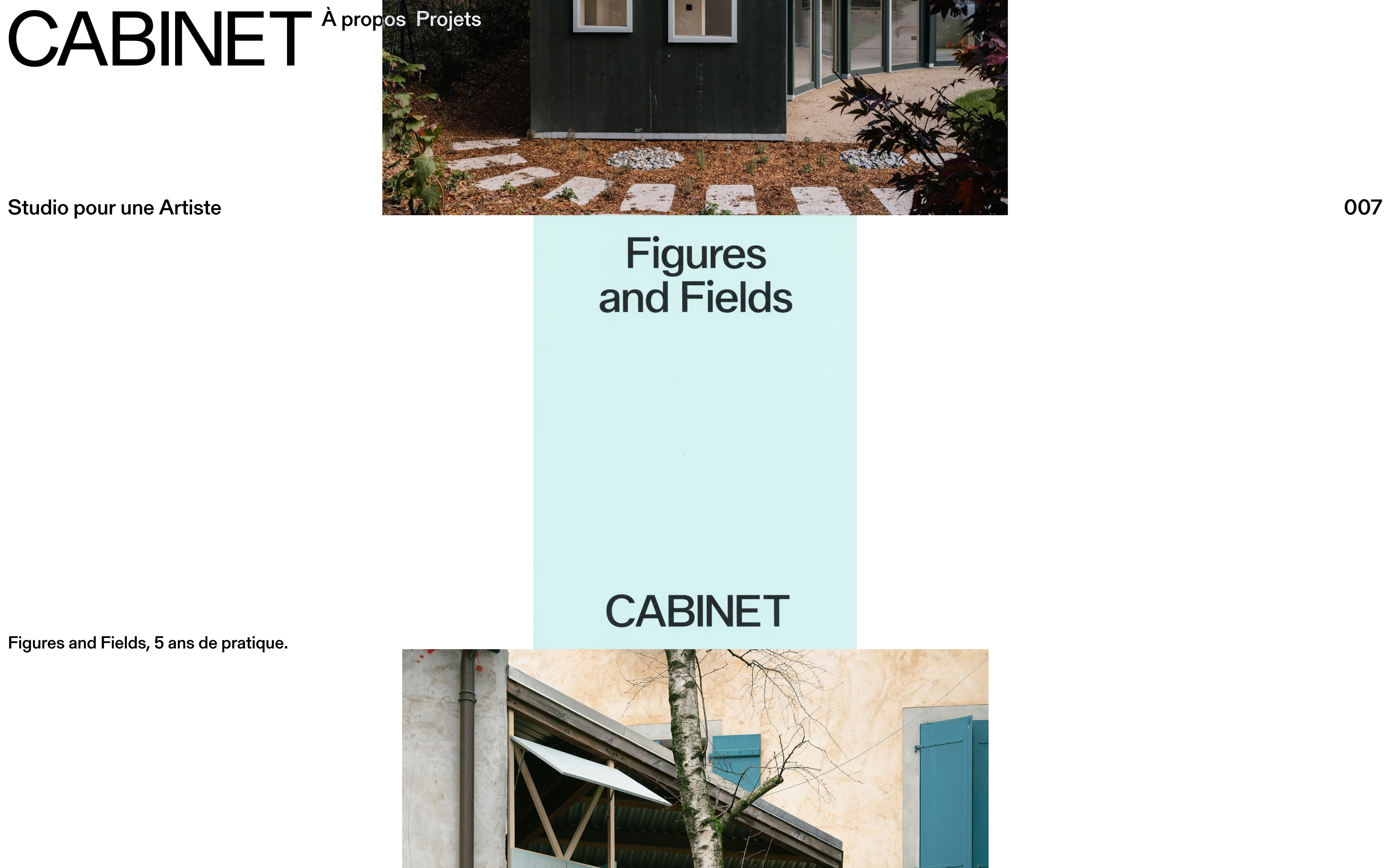 Cabinet website homepage